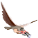 an image