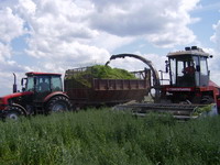 Работаем