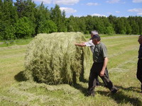 Первый рулон 2006