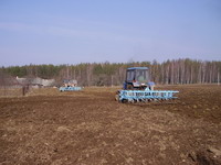Культивируем